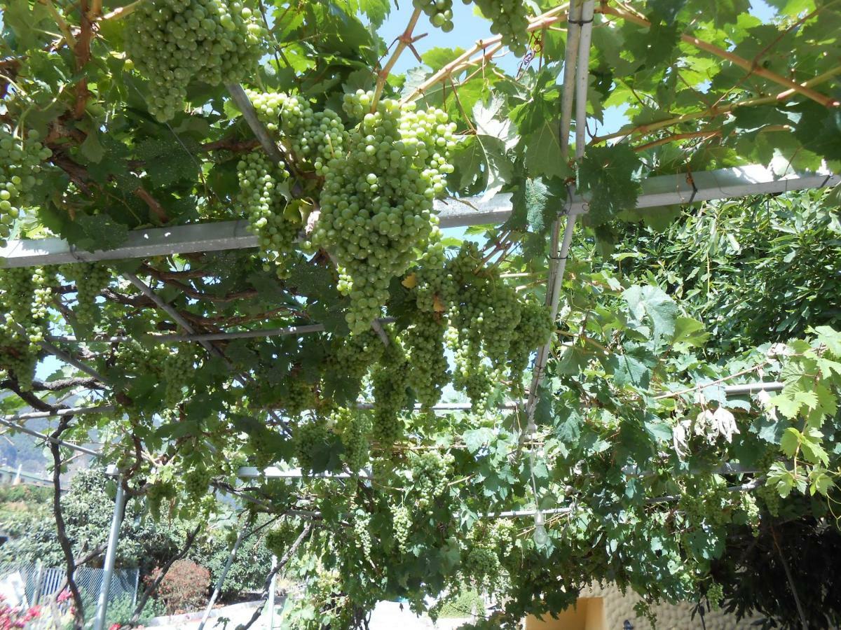 לוס ריאלחוס Casitas Las Uvas Y Las Vinas מראה חיצוני תמונה