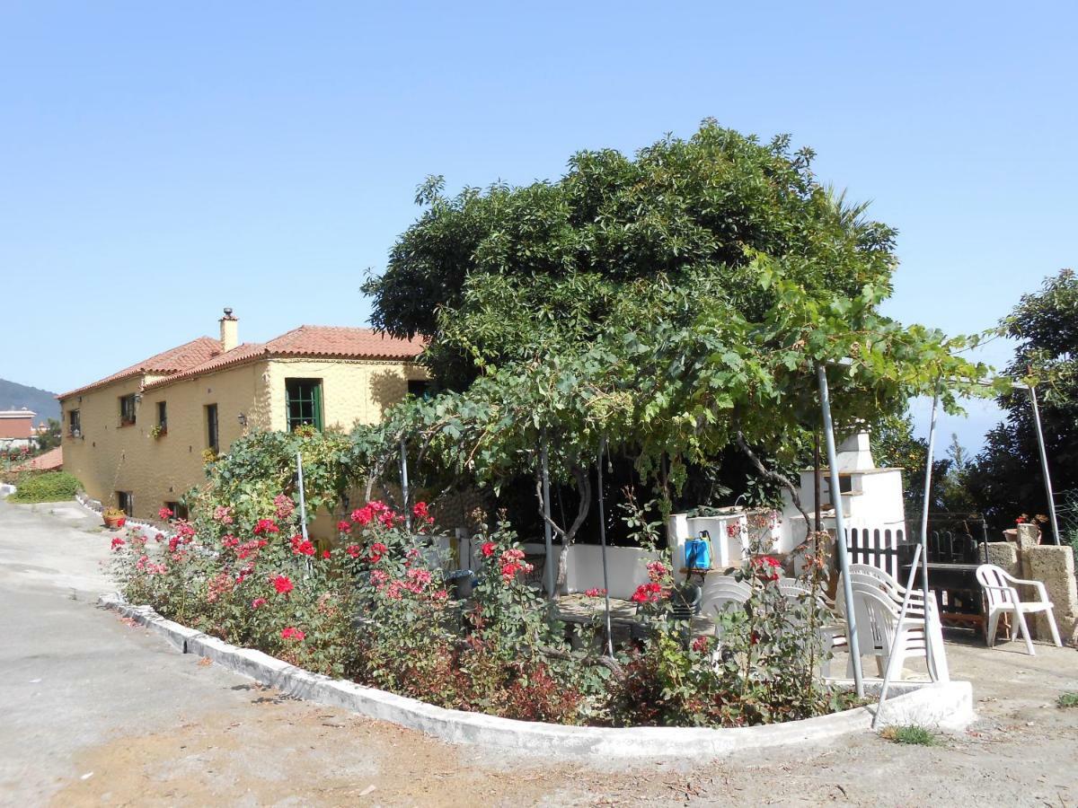 לוס ריאלחוס Casitas Las Uvas Y Las Vinas מראה חיצוני תמונה